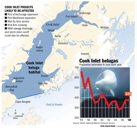 cook inlet