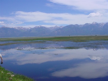 Baca National Wildlife Refuge