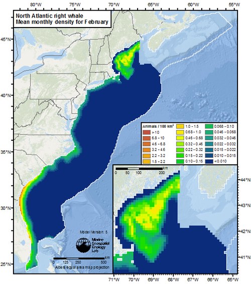 EC_North_Atlantic_right_whale_Feb WEB500