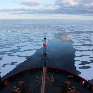 Beaufort icebreaker crop